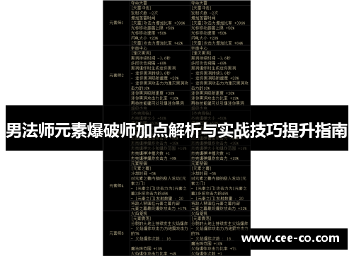 男法师元素爆破师加点解析与实战技巧提升指南