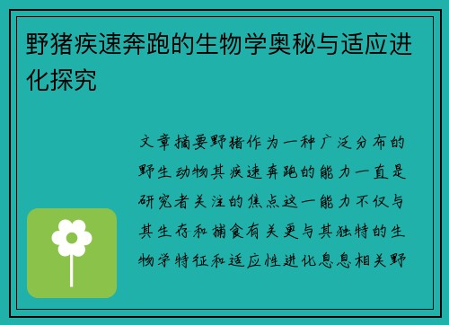 野猪疾速奔跑的生物学奥秘与适应进化探究